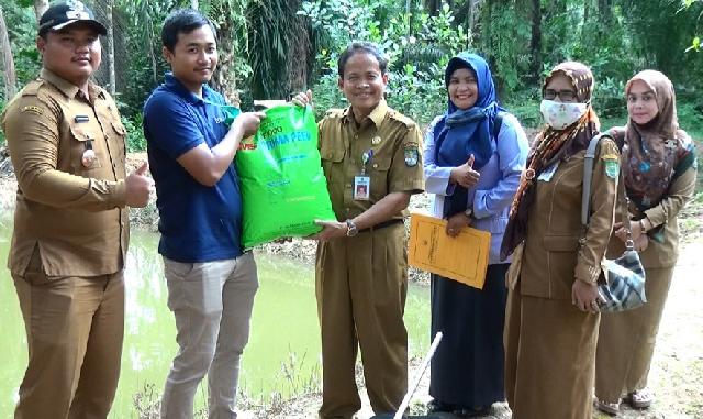 DKPP Rohul Berikan Bantuan Bibit Ikan Bagi Pokdakan Rambah Muda Jaya