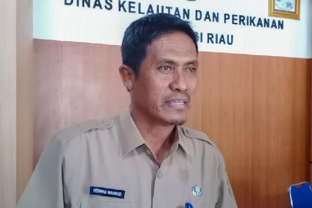 18.060 Hektar Lahan Pertanian di Riau Sudah Ditanami Padi