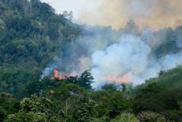 Dari 269 Hotspot, Sebanyak 130  ada di Riau