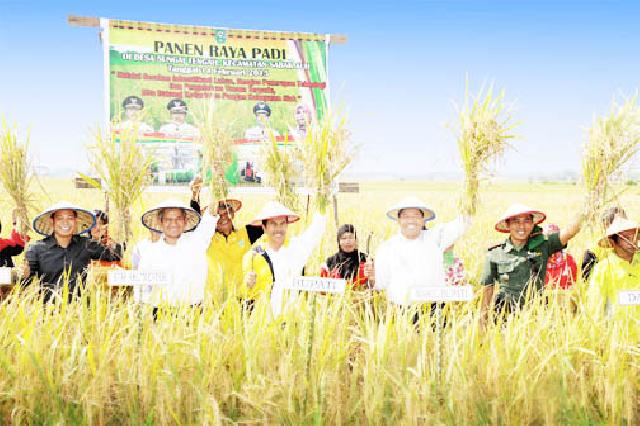 Bupati Siak Drs. H. Syamsuar MSi melaksanakan panen raya padi di Desa Sungai Tengah Kec Sabak Auh